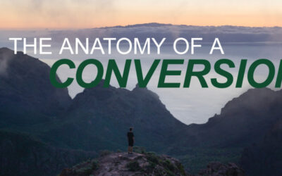 The Anatomy of A Conversion