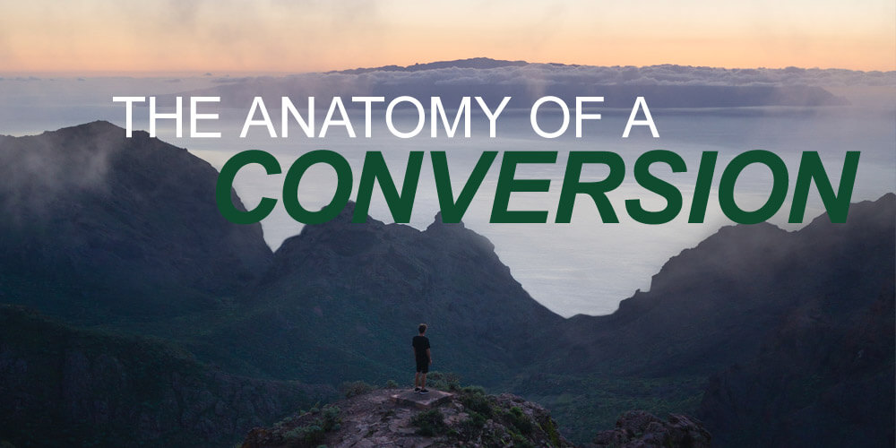 The Anatomy of A Conversion
