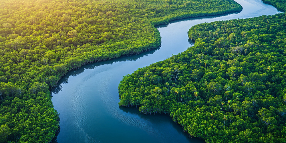 Seeing Above the River