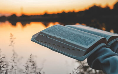 The Transforming Effect of the Gospel: The Letter to Titus