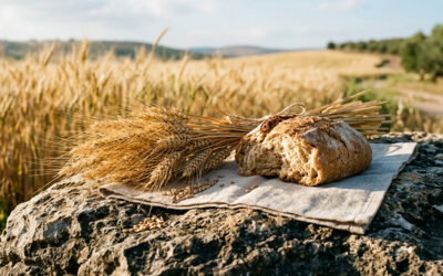 The True Bread